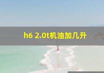 h6 2.0t机油加几升